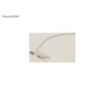 34076803 - ANTENNA. SAR