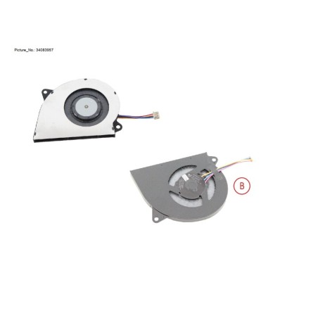 34083957 - FAN 1 .LEFT (60x50)